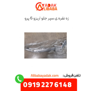 زه نقره ای سپر جلو آریزو 6 پرو
