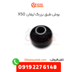 بوش طبق بزرگ لیفان x50