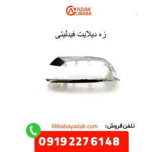 زه دیلایت فیدلیتی