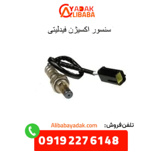 سنسور اکسیژن فیدلیتی