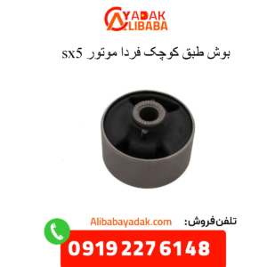 بوش طبق کوچک sx5
