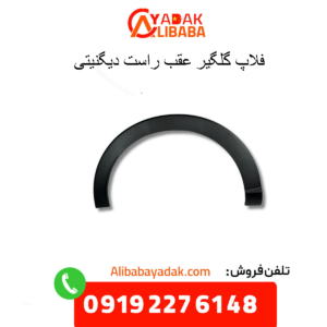 فلاپ گلگیر عقب راست دیگنیتی